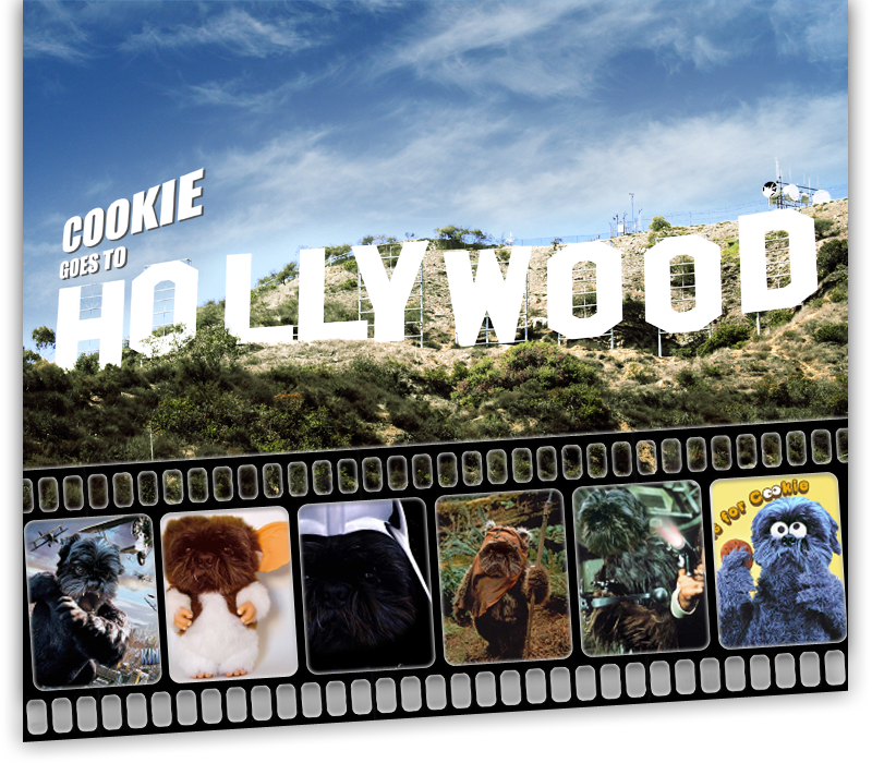 Cookie goes to Hollwood